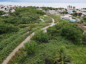 Proyecto Salmar impactaría área de humedal y su entorno forestal en Salinas